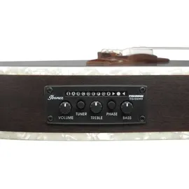 IBANEZ TOD10NL-TKF Linkshänder Westerngitarre