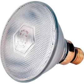 Kerbl Philips, Infrarotlampe, Infra-Sparlampe klar Par38 (100 W)
