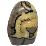 Steinfixx® Edelstein Septarien Drachen Freeform 13x9x6 cm 1330gr. Unikat-Masterpiece, (Heilstein, 1-St., Highlight für jeden Raum), TOP 1A-Qualität aus Madagaskar