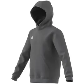 adidas Entrada 22 Hoodie Grau 164