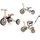 Petite&Mars Multifunktionales 5-in-1-Dreirad Turbo Beige (Desert Sand)