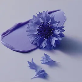 Schwarzkopf Blondme Purple Spray Conditioner 150 ml