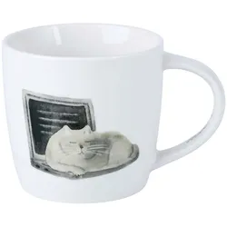 MAXWELL&WILLIAMS FELINE FRIENDS Becher Computer Cat in Geschenkbox