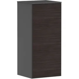 Hansgrohe Xevolos E Hängeschrank, 1 Tür, 54217730,