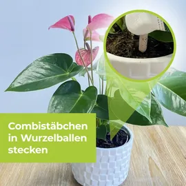 SBM Protect Garden Lizetan Plus Combistäbchen 20 Stück