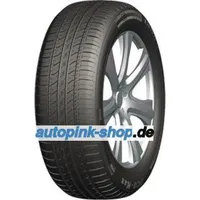 DOUBLE COIN DCO-Max 195/65 R15 91V TL