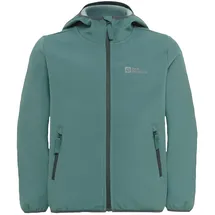 Jack Wolfskin Fourwinds Jacket Kids, Jade Green, 116