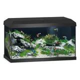 JUWEL AQUARIUM Primo 60 2,0 Aquariumkombination 57,0 l schwarz
