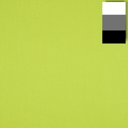 Walimex pro Stoffhintergrund (285 cm, 600 cm), Hintergrundsystem, Grün