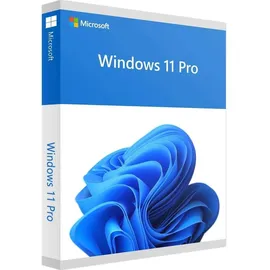 Microsoft Windows 11 Pro DVD DSP/SB EN