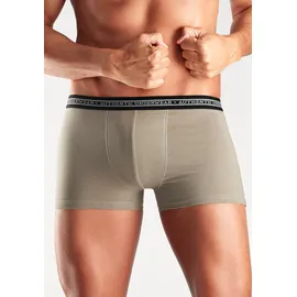 Authentic Underwear Boxershorts unifarben beige/braun/grau/grün L 4er Pack