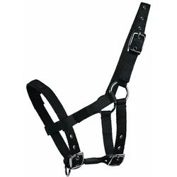 Waldhausen MiniShetty Halfter
