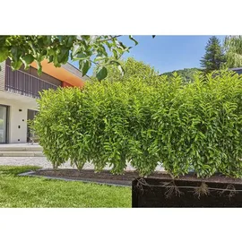 Gardena Micro-Drip-System Tropfbewässerung Hecken/Büsche Set 25 m 13500-20