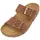 HAFLINGER Bio Andrea Braun 40