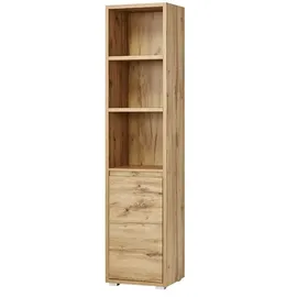 Möbel Boss Regal - holzfarben ¦ Maße (cm): B: 45 H: 191 T: 37.0