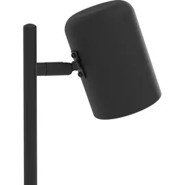 EGLO Ceppino Schwarz