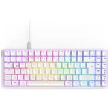 NZXT Function 2 MiniTKL Swift Linear Optical DE