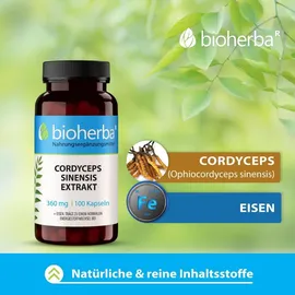Bioherba Cordyceps Sinensis Extrakt Kapseln 100 Stück