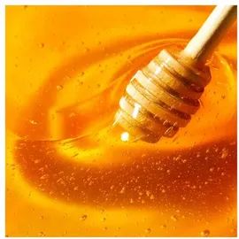 NUXE Rêve de Miel Stick Lèvres 4 g