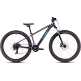 Cube Acid 260 Disc