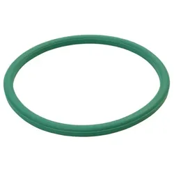 TW O-Ringdichtung, für Kupplung Typ MK, HYPALON® grün, Nenngröße 100