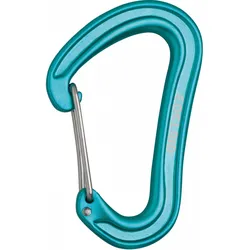 Karabiner Edelrid Nineteen G Eisminze BLAU No Size