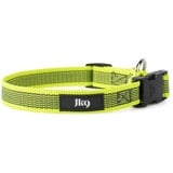 JULIUS K-9 Julius-K9 220CG-NE Color & Gray Halsband, 20 mm x 27-42 cm, Neon-Grau