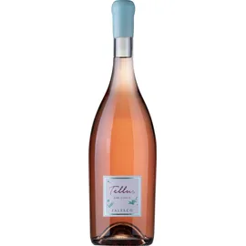 Falesco Tellus Rosé di Syrah Lazio Magnum - 2022