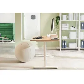 Leitz Sitzball Grau 55 cm