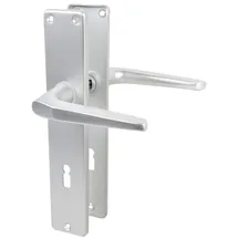 Lienbacher Langschildgarnitur Europa F1 Aluminium grau/silber