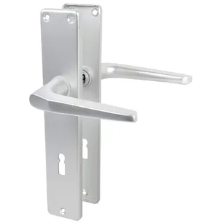 Lienbacher Langschildgarnitur Europa F1 Aluminium grau/silber