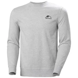 HELLY HANSEN Nord Graphic Sweatshirt Grau Melange XL