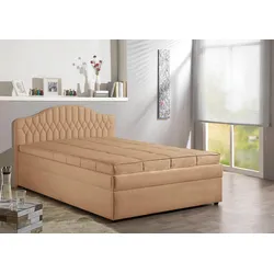 Polsterbett MAINTAL, braun (karamell), B:150cm, Betten