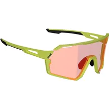 Leatt RideViz Pro Unisex Schwarz/Iriz Silver 17%