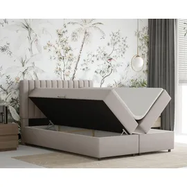 panda möbel Boxspringbett 140 x 200 cm Dunkelbeige