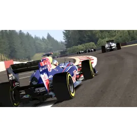 F1 2011 (PC)