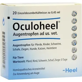 Heel Oculoheel Augentropfen 0,45 ml 20 St.