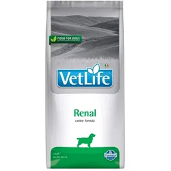 FARMINA Vet Life Dog Renal 12kg
