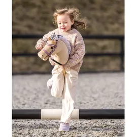 my hobby horse - Steckenpferd Fjord