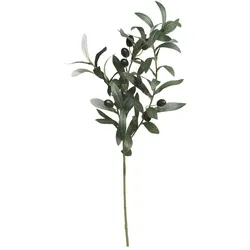 Chic Antique Fleur Olivenzweig, Höhe 74 cm