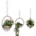 DanDiBo Ambiente Blumenampel 3er Set Silber