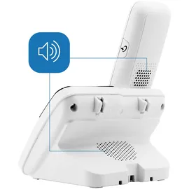 Geemarc AMPLIDECT 295