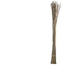 CLAYTEC Weidenruten - 40 Stück ca. 2,7 m lang - Querschnitt bis 2,5...