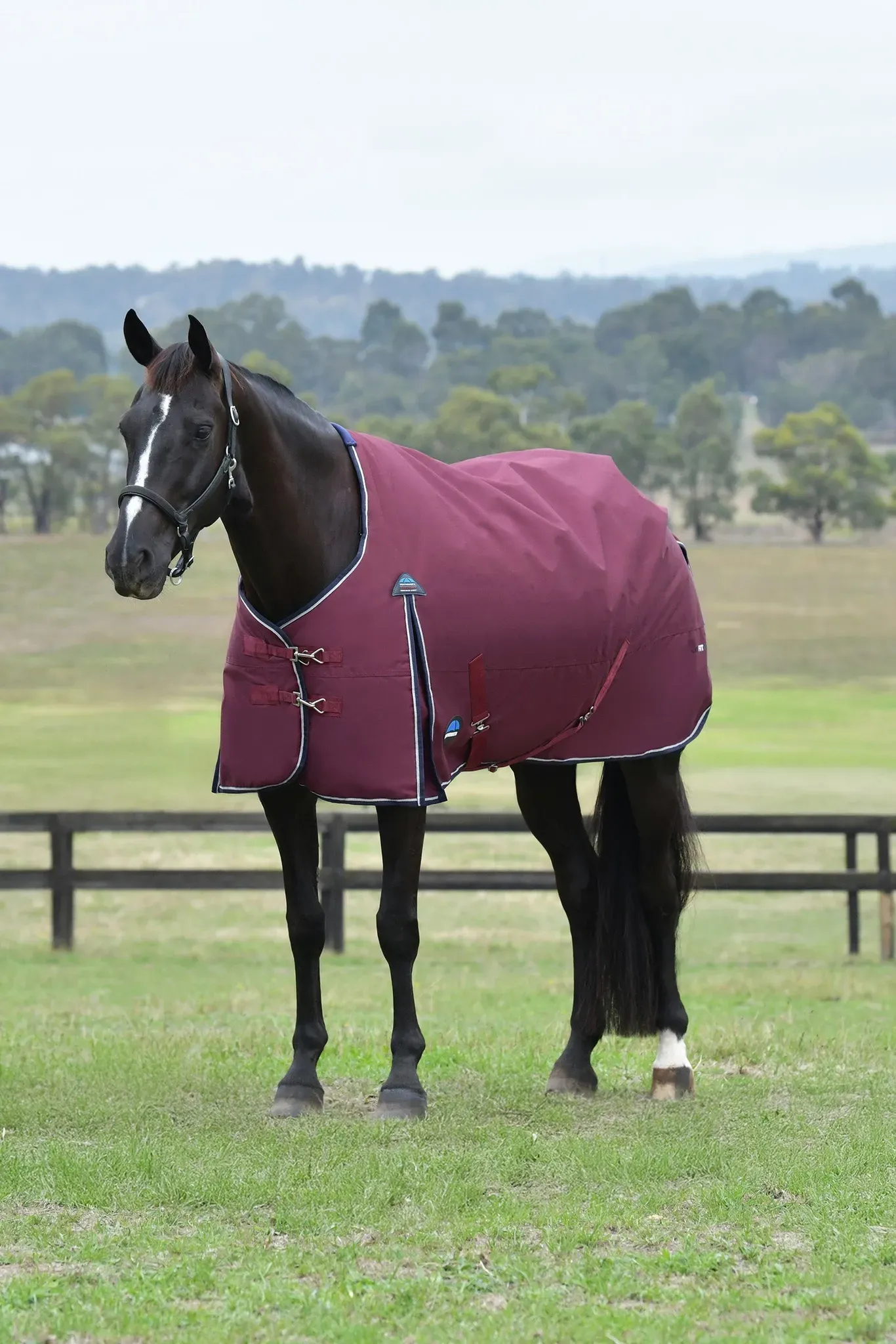 Weatherbeeta ComFiTec Essential Turnout Standard Neck 50G