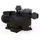 Astralpool Sena 14000l/h 1.25 Ps 230/iii Selbstansaugende Kunststoffpumpe 400 V - Black - One Size