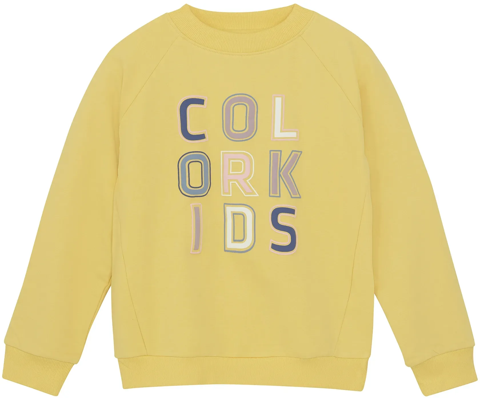 Sweater COLOR KIDS 