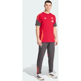 adidas Tiro 25 Competition Baumwollshirt Strawberry Red XS