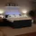 vidaXL Boxspringbett mit Matratze Schwarz 180x200 cm Samt