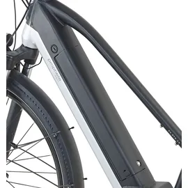 Prophete Entdecker 5.0 36V 28 Zoll RH 52 cm Schwarz-Silber Matt