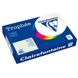 Clairefontaine Kopierpapier Trophée grau DIN A3 80 g/qm 500 Blatt